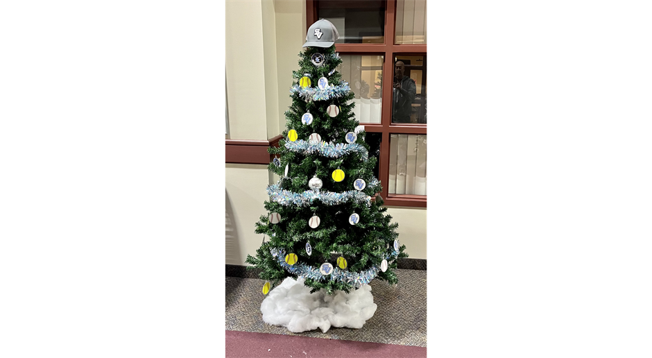 SVBSA Christmas Tree - thank you Hahn and Reckless families for decorating our tree!